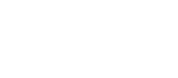 דין דניאל בושארי, עו״ד